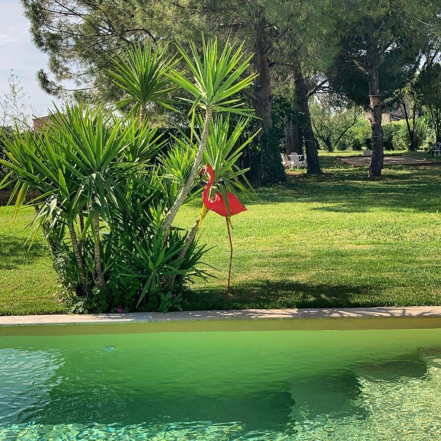 אימארגואס Le Patio, Chambres D Hotes Pour Adultes En Camargue, Possibilite De Naturisme A La Piscine, מראה חיצוני תמונה