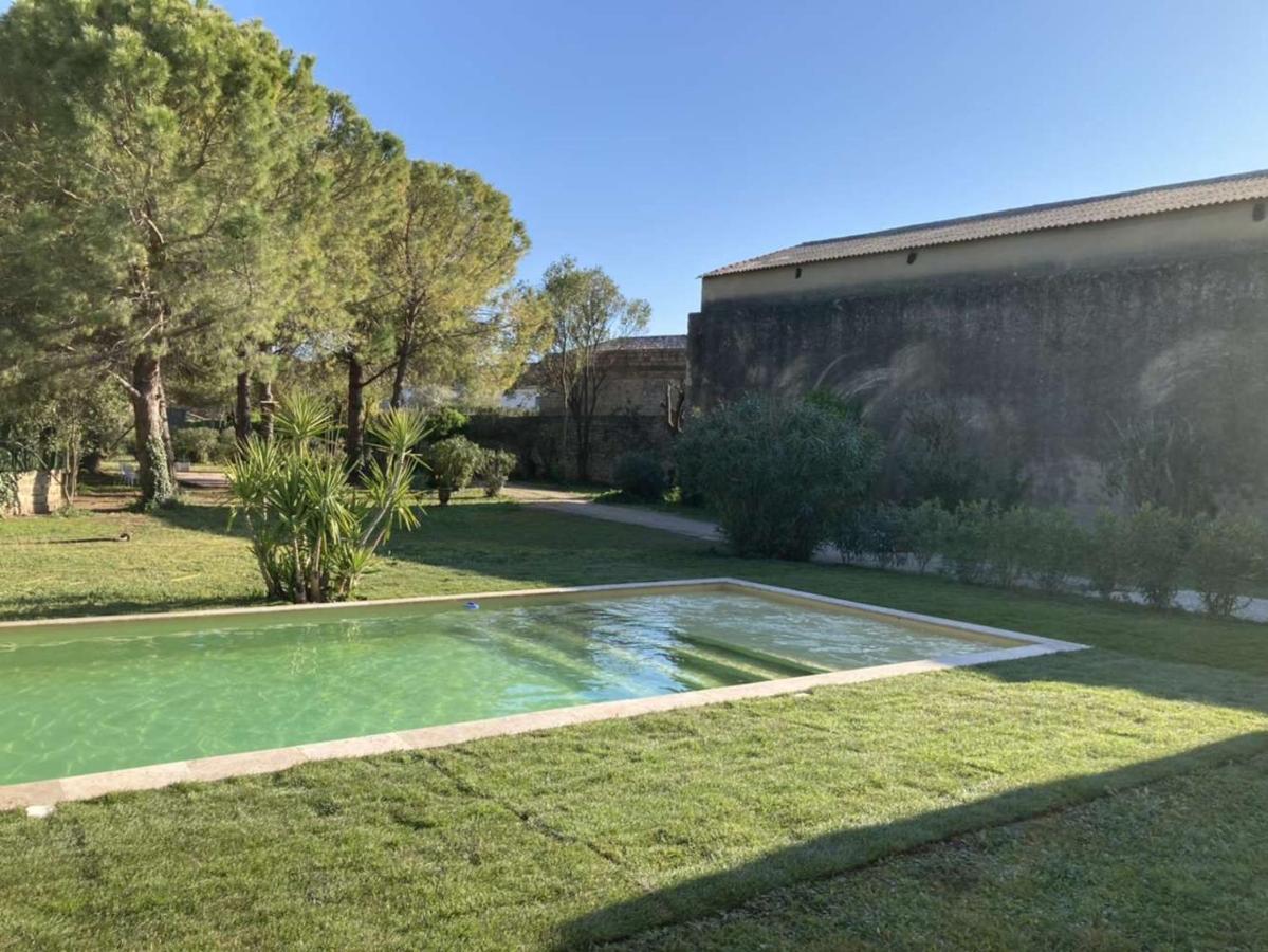 אימארגואס Le Patio, Chambres D Hotes Pour Adultes En Camargue, Possibilite De Naturisme A La Piscine, מראה חיצוני תמונה